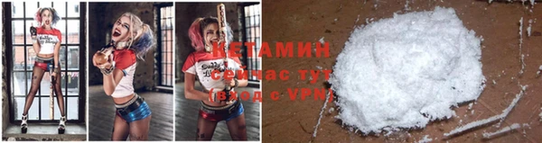 шишки Абинск