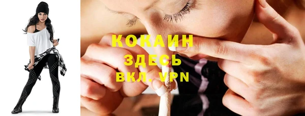 тгк Абаза