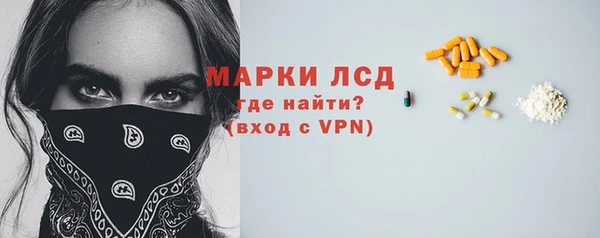 хмурый Алзамай
