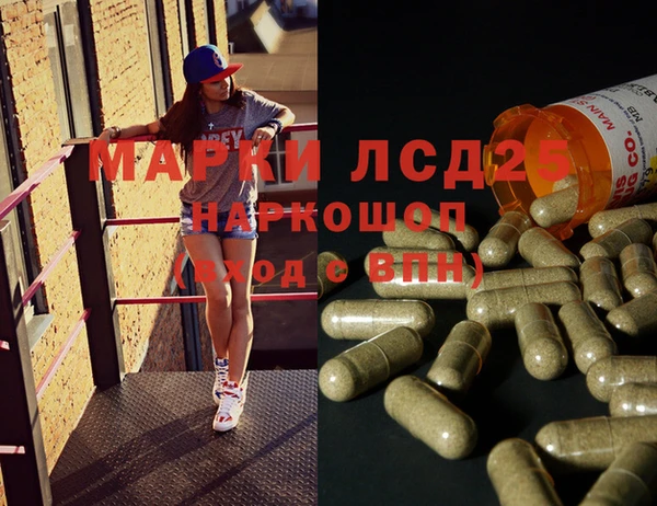 хмурый Алзамай