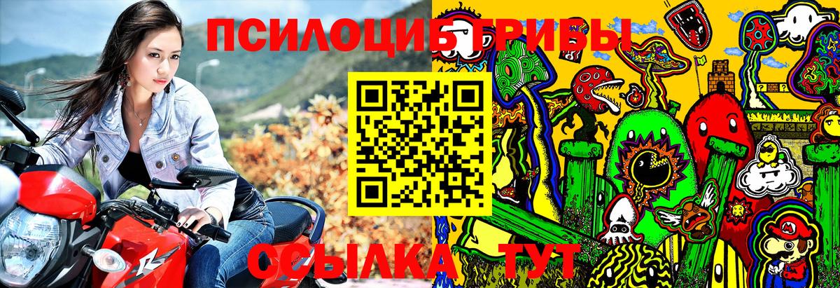 Галлюциногенные грибы мухоморы  Псилоцибиновые грибы прущие грибы  Вход с VPN  Елизово 