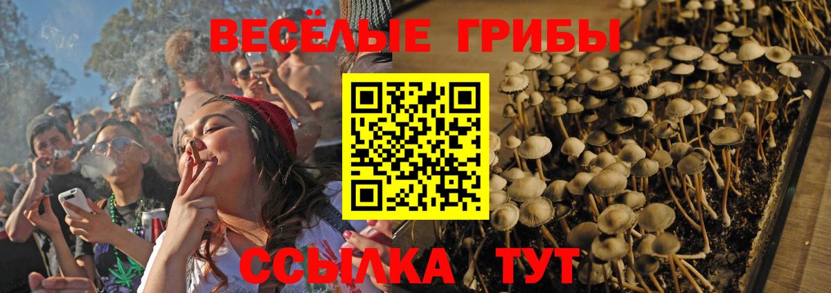 Галлюциногенные грибы прущие грибы Елизово